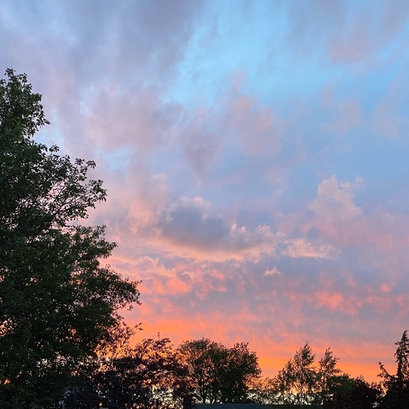 Meet your Posher, Amy - Picture 1 of 1